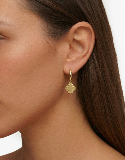 Gouden Klaver - Oorbellen - Olivia & Kate