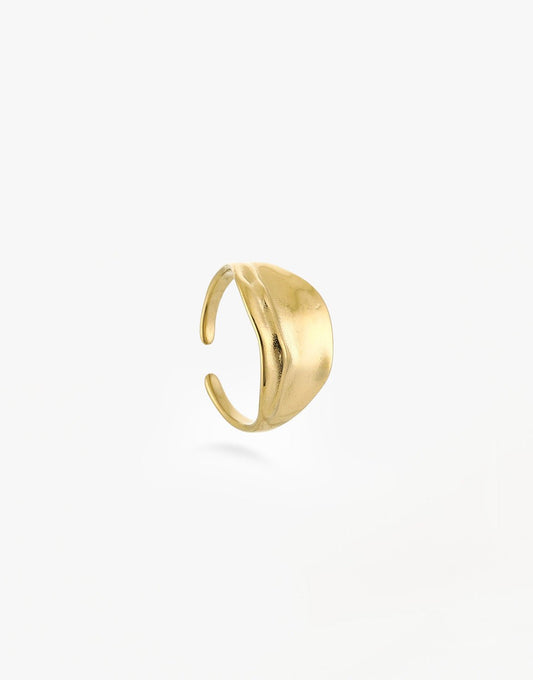 Gouden Motief - Ring - Olivia & Kate